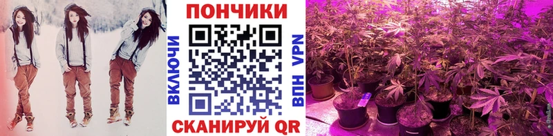 Бошки марихуана семена  Чехов 
